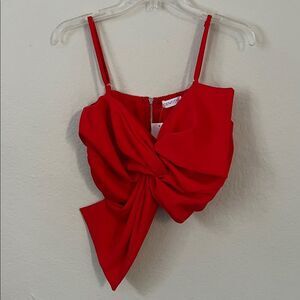 NWT IDENTITY Red Knot Front Crop Top in Size Large